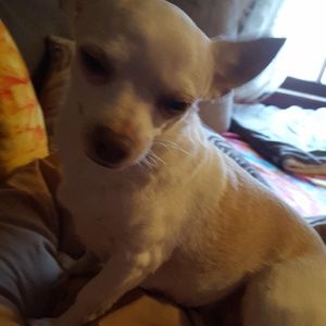 Meet your Posher, Terry